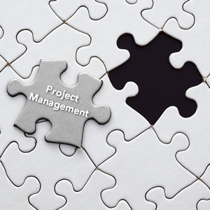 Project Management Puzzle