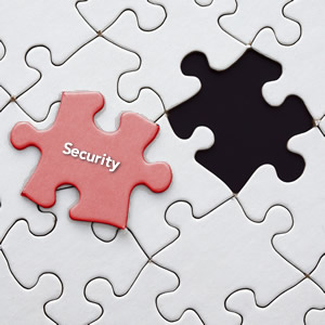 Image Security Security Puzzle