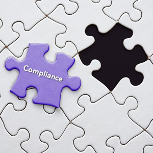 Compliance Puzzle