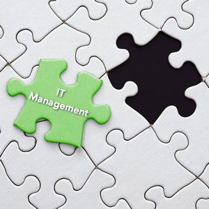 IT Management Puzzle